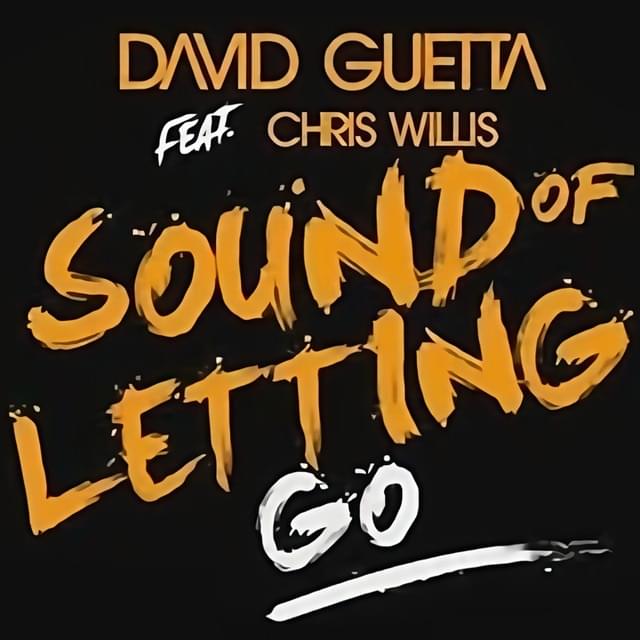 David Guetta featuring Chris Willis — Sound of Letting Go cover artwork