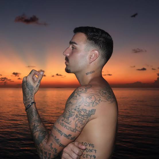 Rels B a new star (1 9 9 3) cover artwork