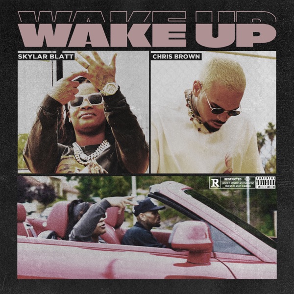 Skylar Blatt featuring Chris Brown — Wake Up cover artwork
