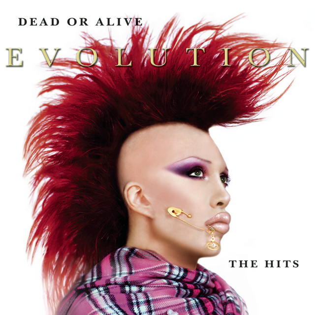 Dead or Alive Evolution - The Hits cover artwork