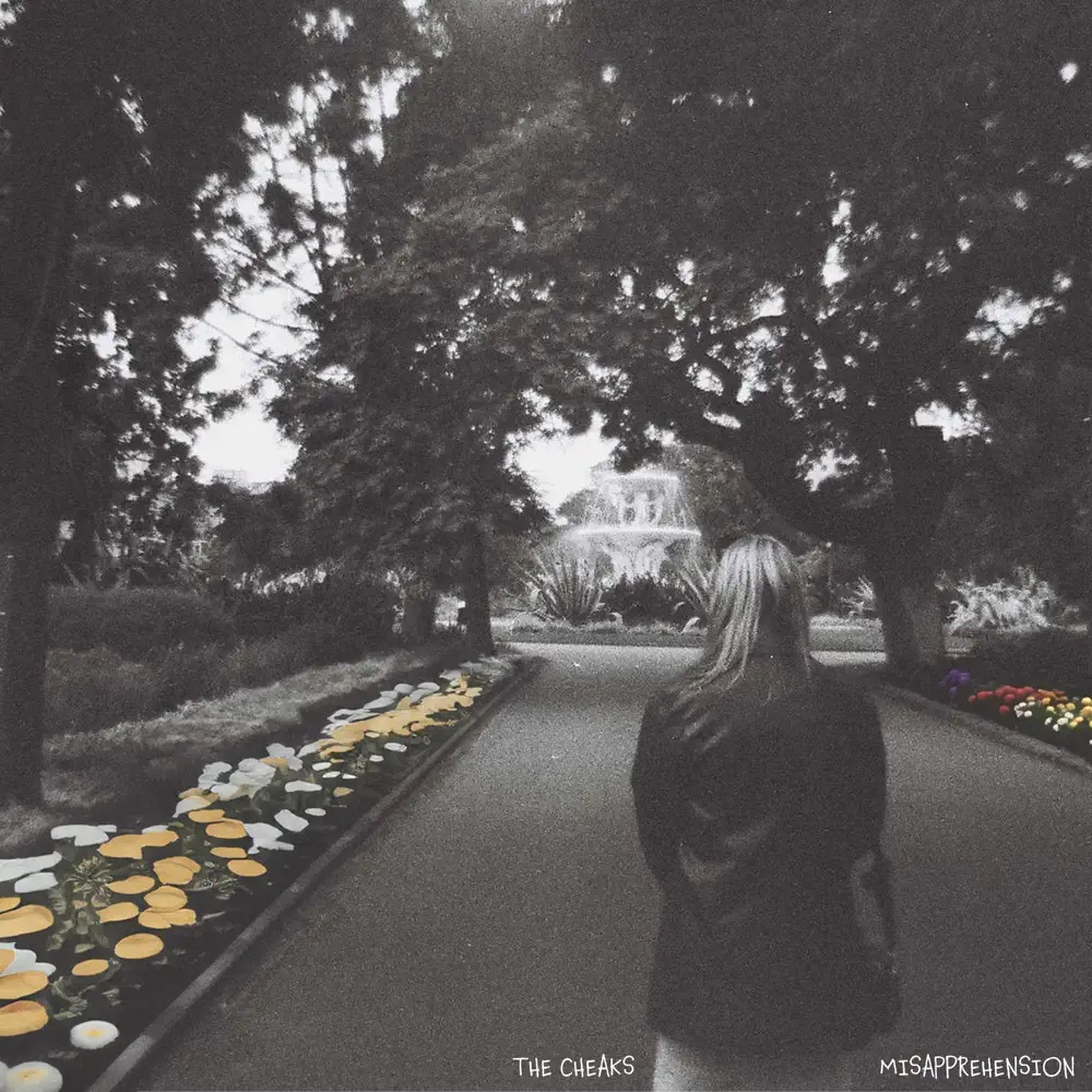 The Cheaks — Misapprehension cover artwork