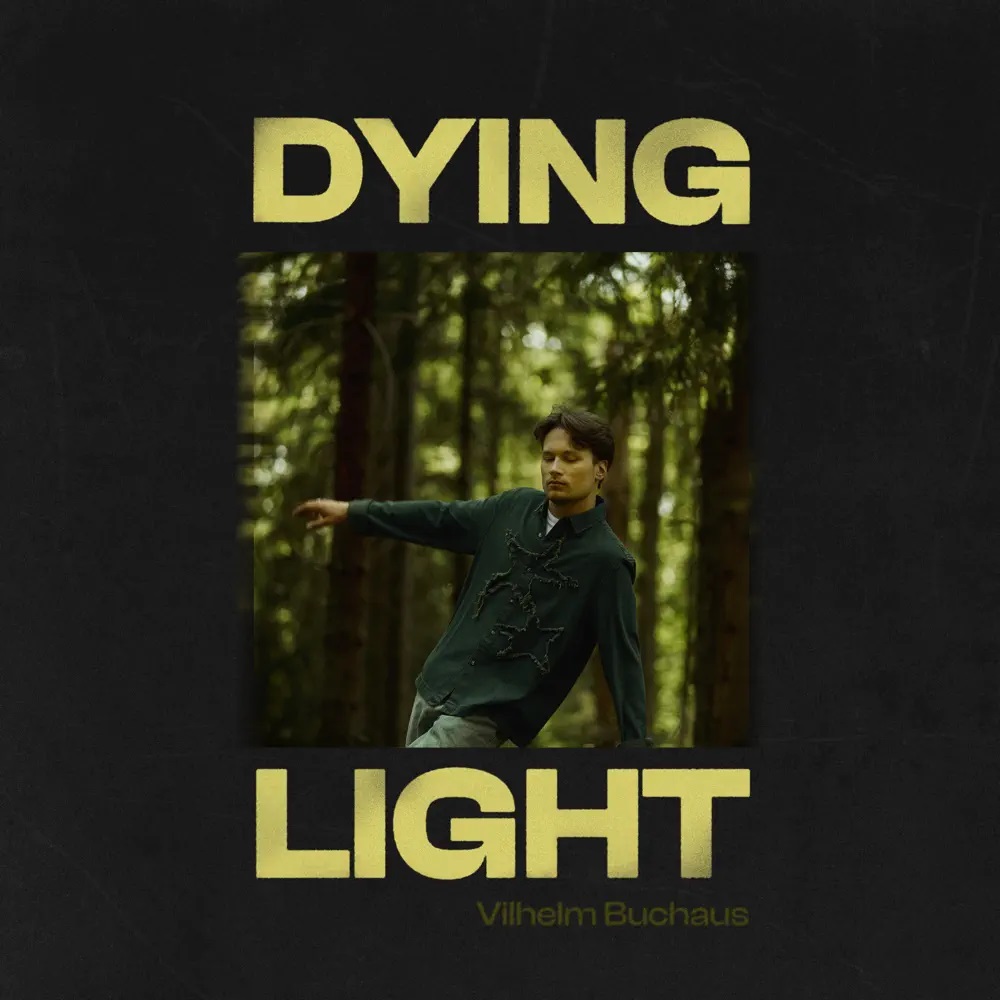 Vilhelm Buchaus — Dying Light cover artwork