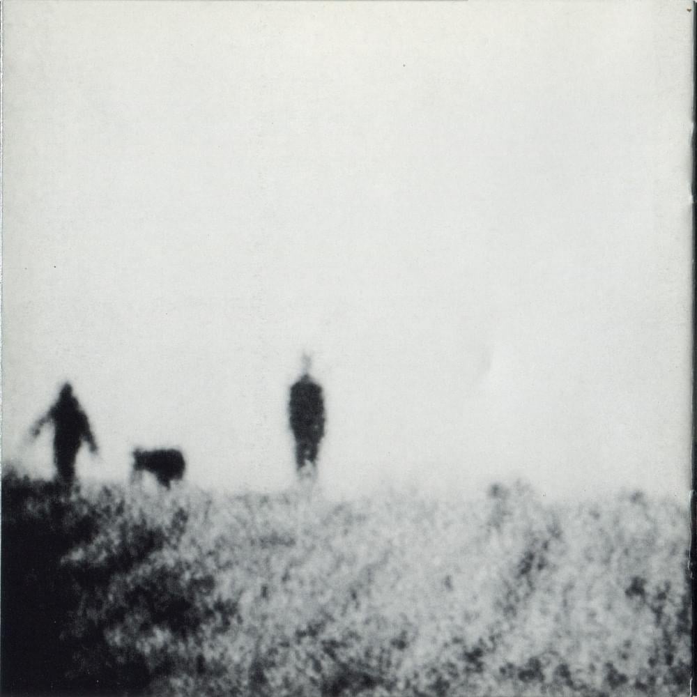 Peter Gabriel — Signal to Noise cover artwork