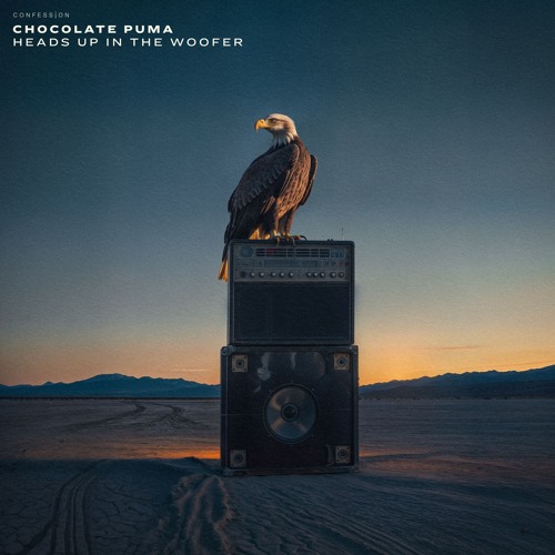 Chocolate Puma — Heads Up In The Woofer cover artwork