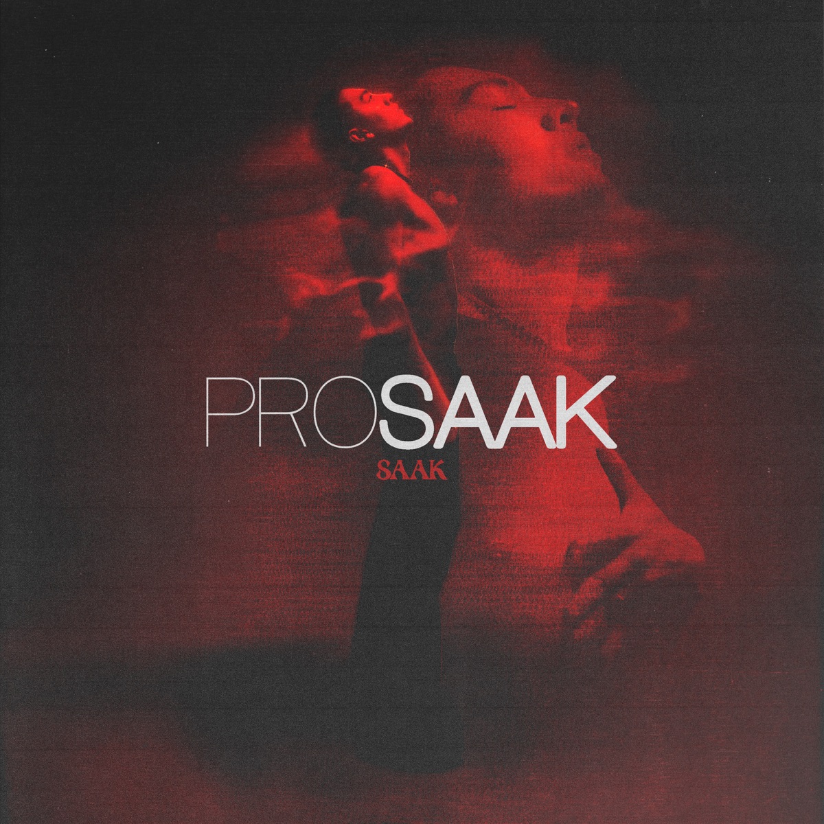 Saak — Ego cover artwork