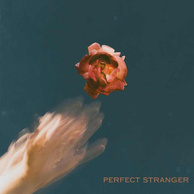 Fulton Lee — Perfect Stranger cover artwork