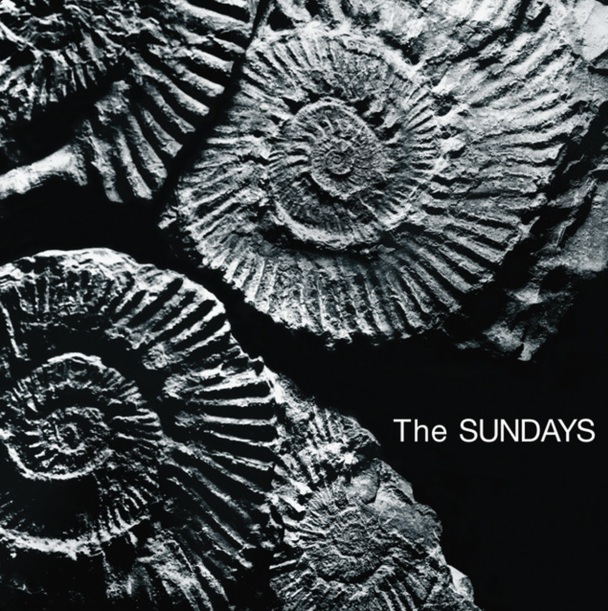 The Sundays Reading, Writing And Arithmetic cover artwork