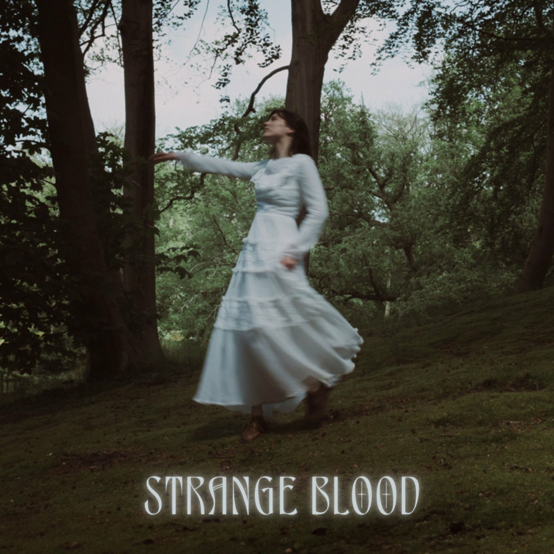 Daisy Bellis — Strange Blood cover artwork