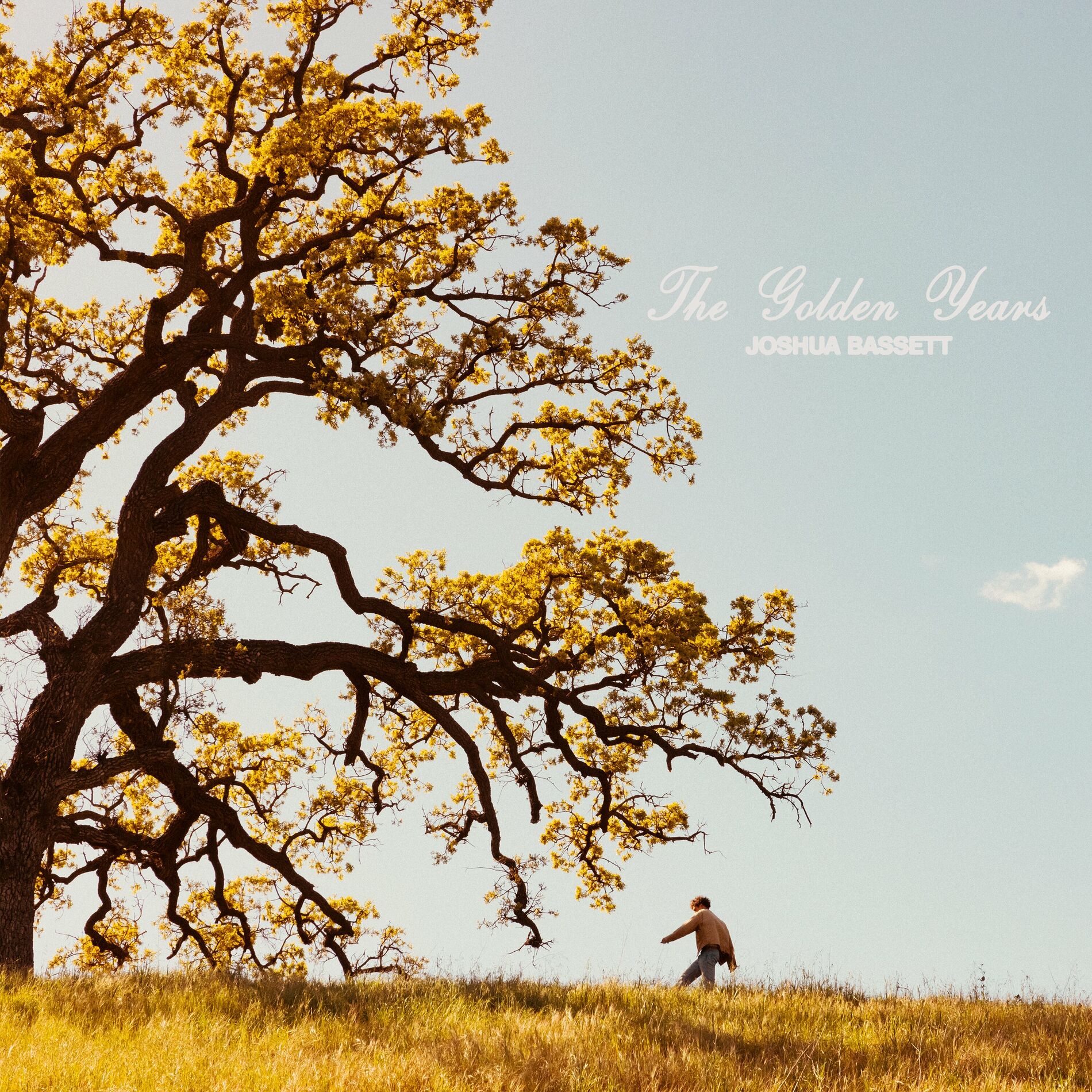 Joshua Bassett — Would Ya Tell Me cover artwork