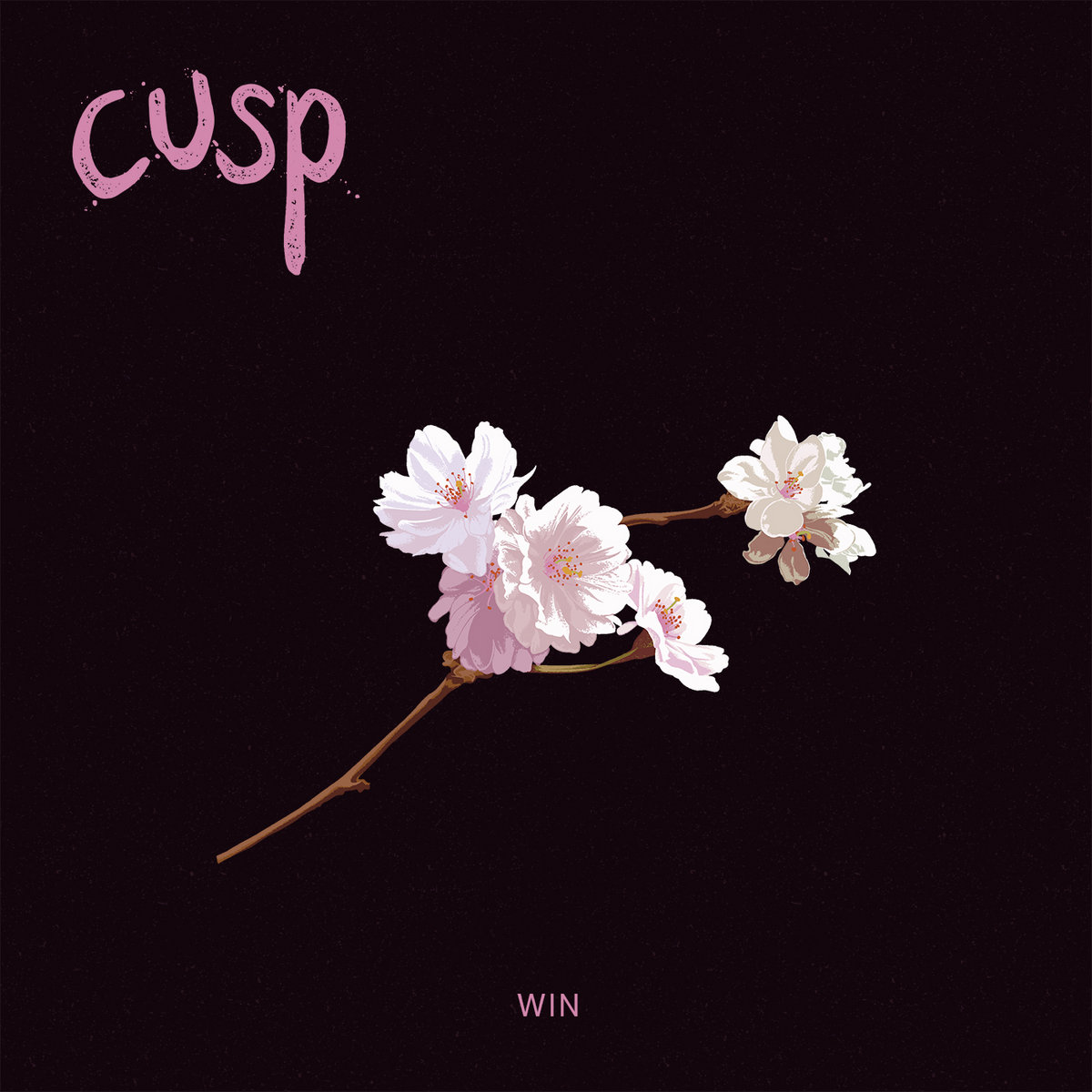 Cusp — Win cover artwork