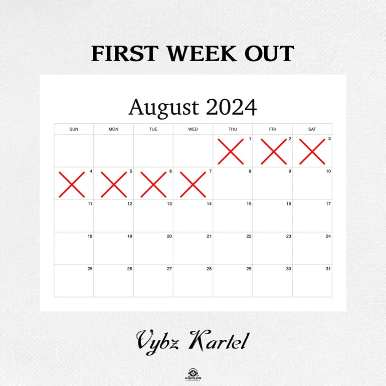 Vybz Kartel First Week Out cover artwork