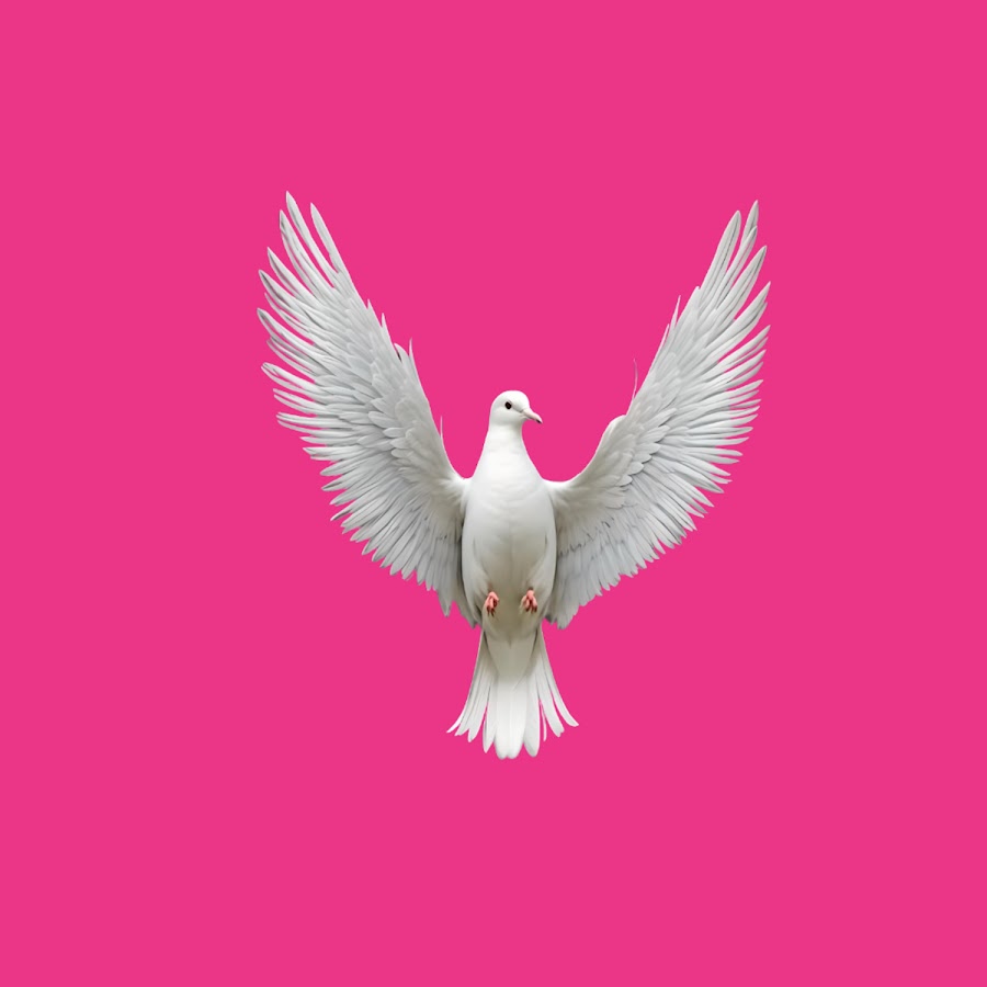 Scarfly — Swipe cover artwork