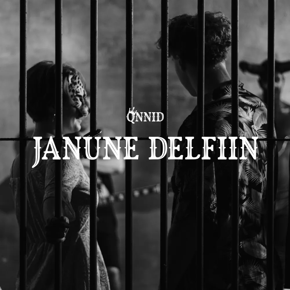 QNNID — JANUNE DELFIIN cover artwork