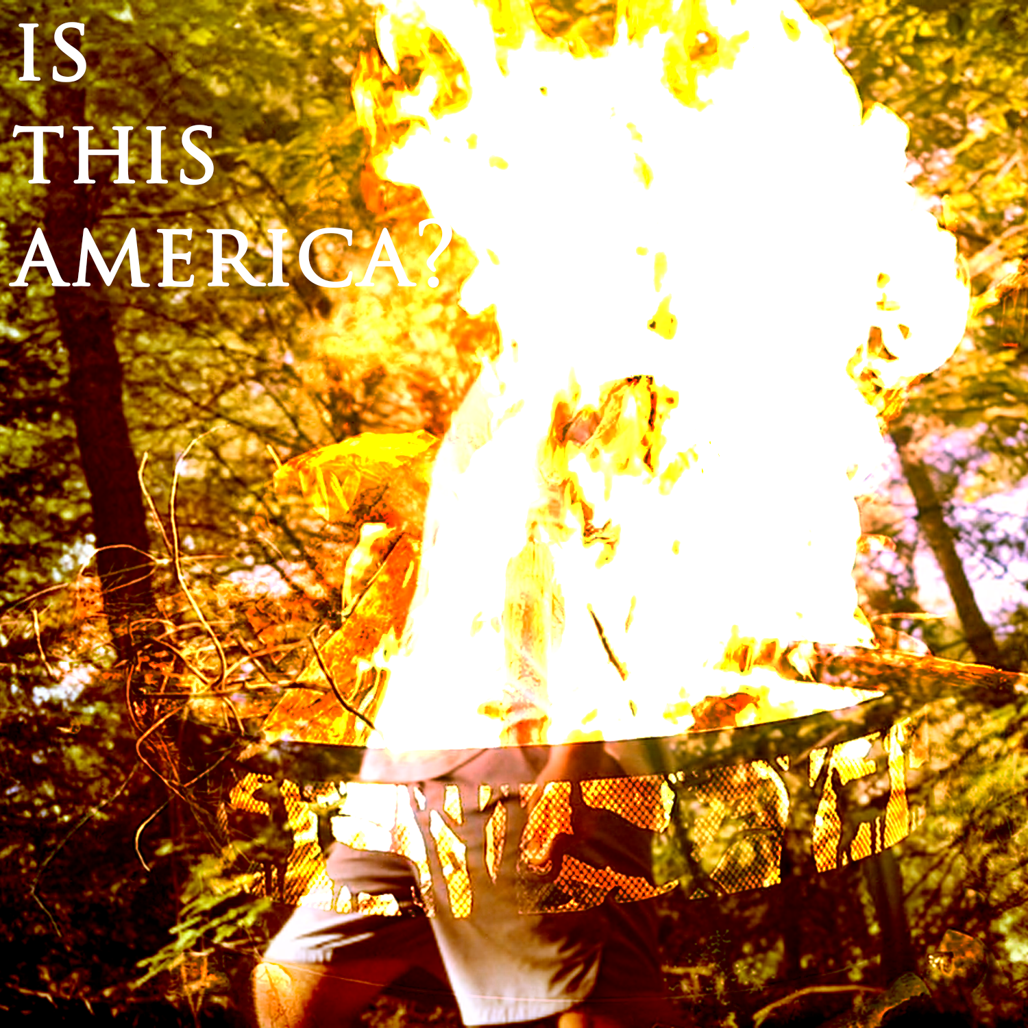 Tom&#039;s White Knights — Is This America? cover artwork