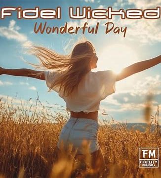 Fidel Wicked — Wonderful Day cover artwork
