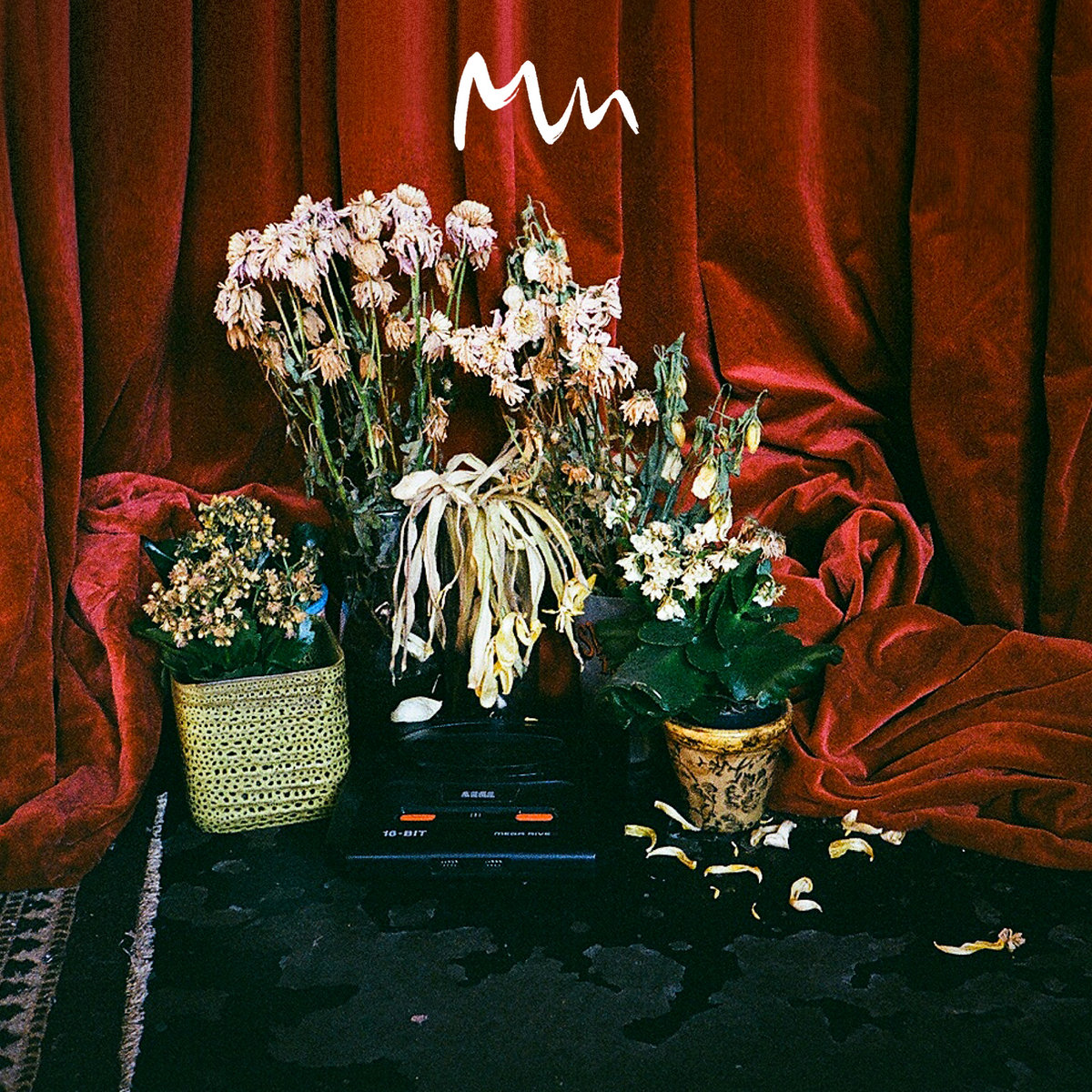 Model Man — Beta cover artwork