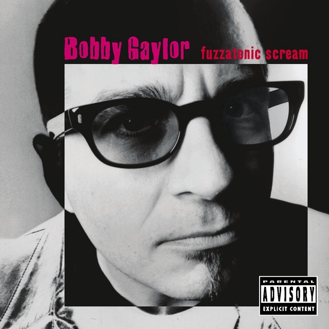 Bobby Gaylor — Suicide cover artwork