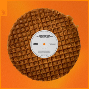 Armin van Buuren featuring Wildstylez & PollyAnna — Typically Dutch cover artwork