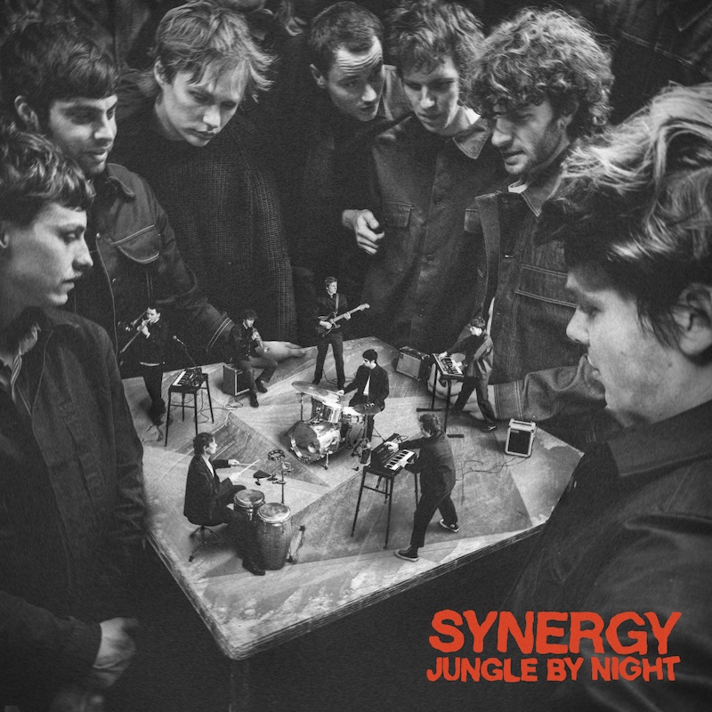 Jungle by Night Synergy cover artwork