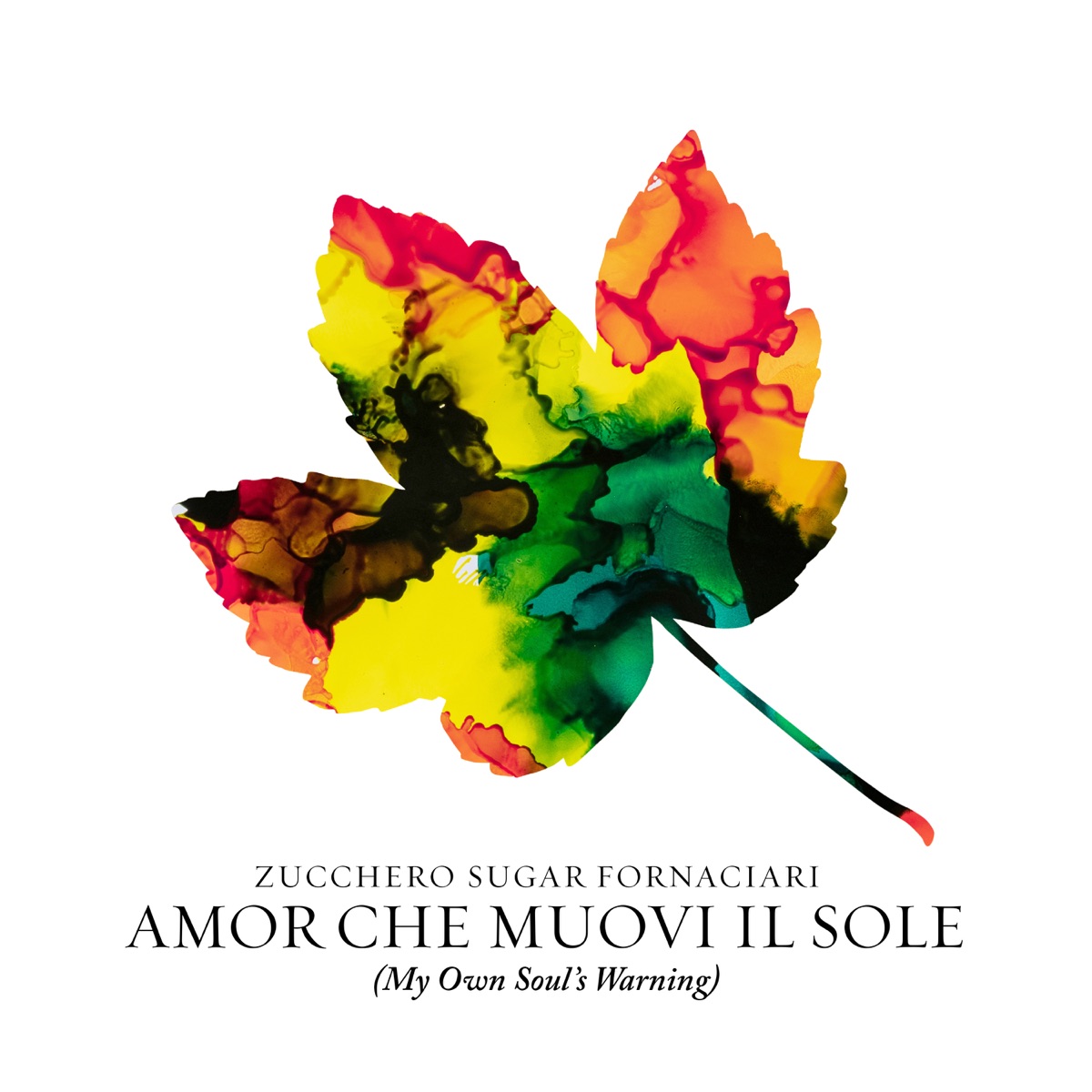 Zucchero — Amor Che Muovi Il Sole cover artwork
