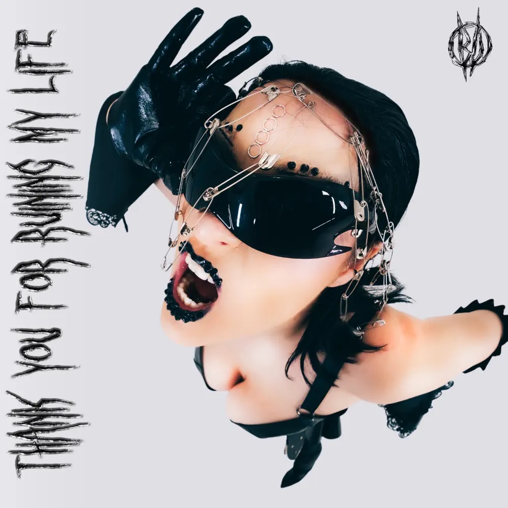 EMM — THANK YOU FOR RUINING MY LIFE cover artwork