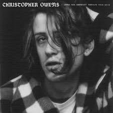 Christopher Owens — Beautiful Horses cover artwork