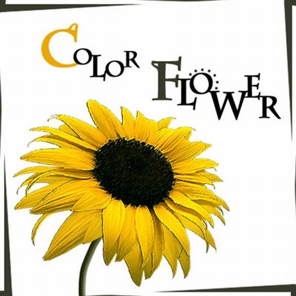 KCM Color Flower cover artwork