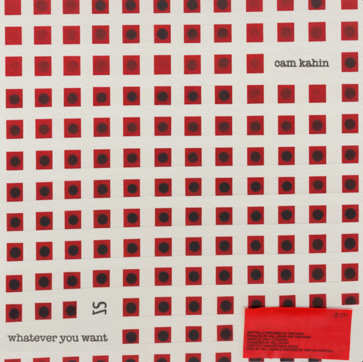 Cam Kahin — whatever you want cover artwork