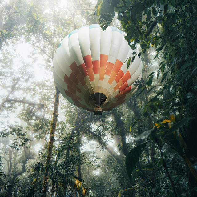 Ross Quinn — Let It Go cover artwork