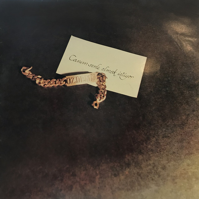 Özdemir Erdoğan — Canım Senle Olmak İstiyor cover artwork
