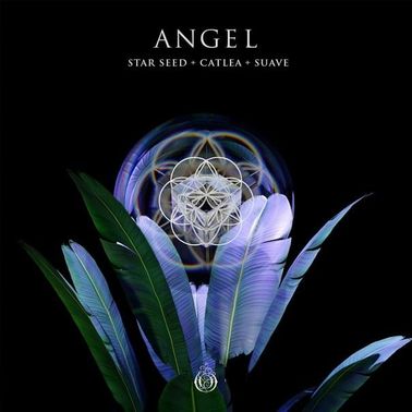 STAR SEED & Catlea featuring Suavé — Angel cover artwork