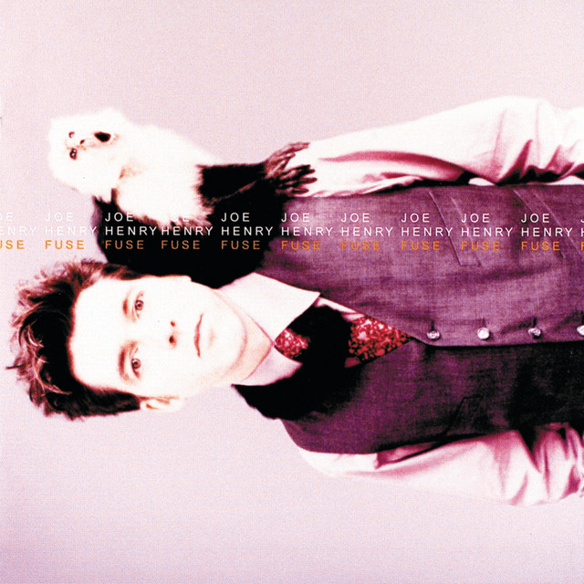 Joe Henry — Skin and Teeth cover artwork