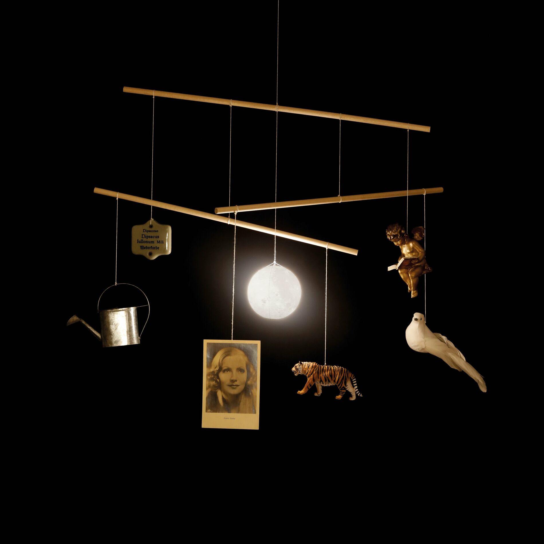 Beirut — Caspian Tiger cover artwork