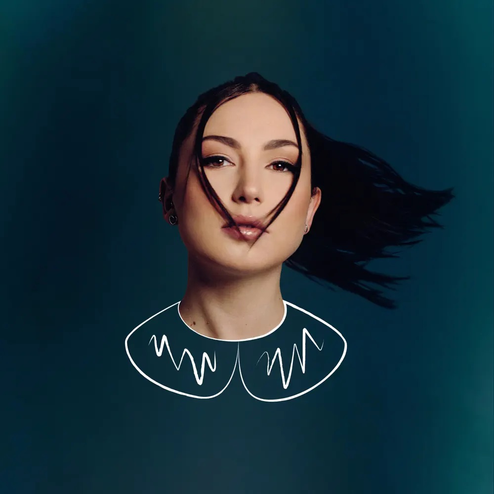Linh — Ne me dis plus jamais cover artwork