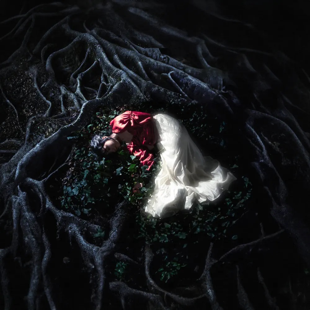 Lipatova — Ліс cover artwork