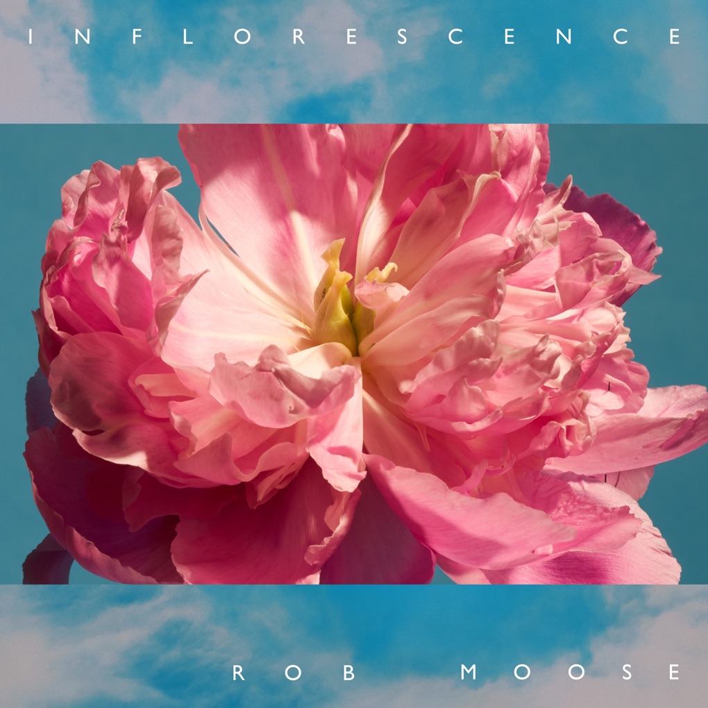 Rob Moose Inflorescence - EP cover artwork