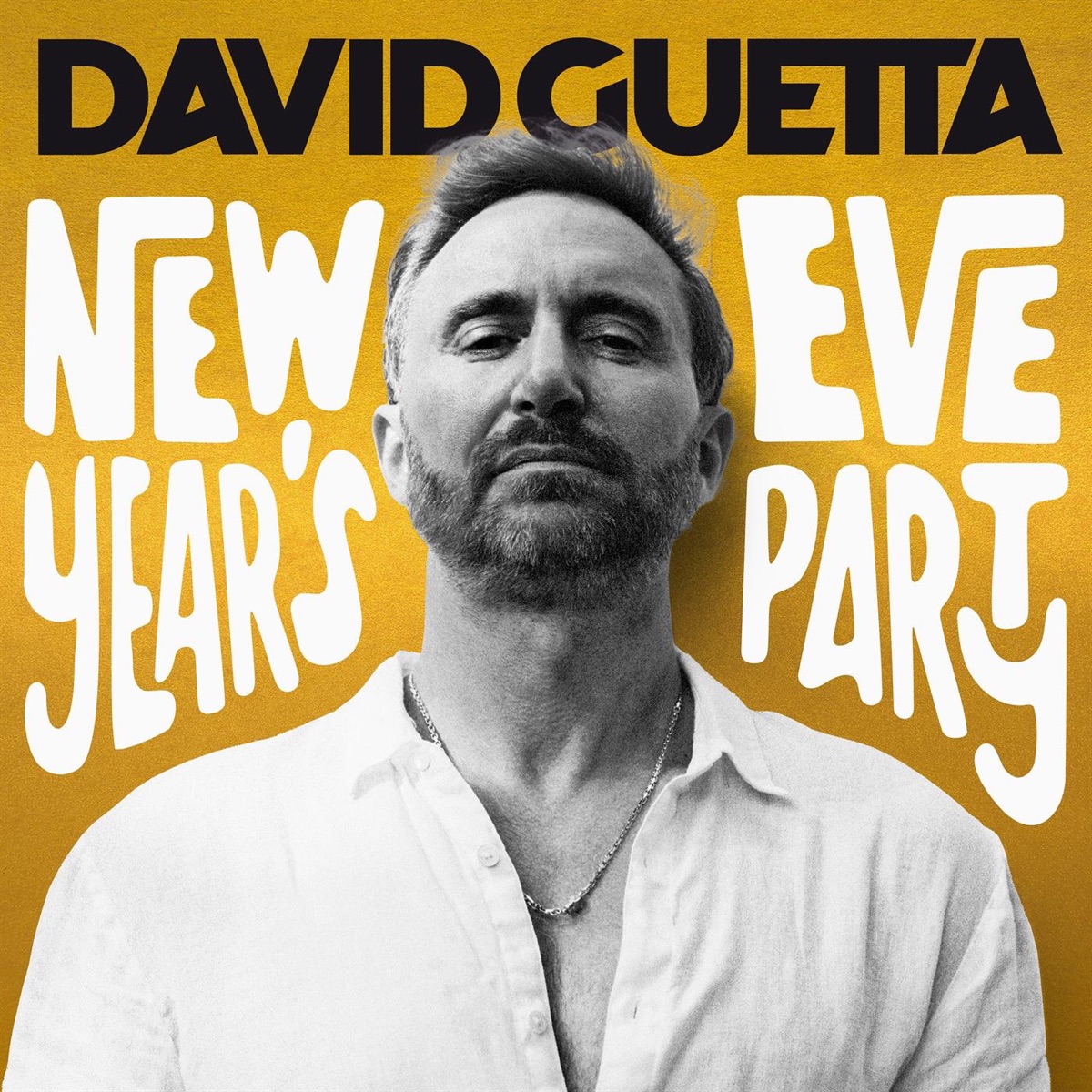 David Guetta — New Year&#039;s Eve Party cover artwork