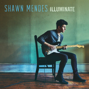 Shawn Mendes — Hold On cover artwork