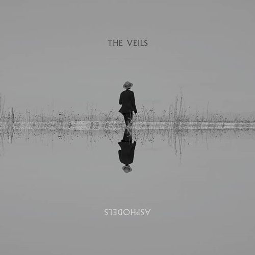 The Veils The Ladder cover artwork