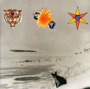 The Beta Band — Dogs Got a Bone cover artwork