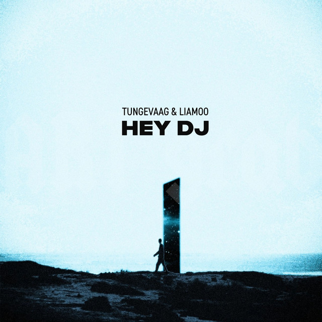 Tungevaag & LIAMOO — Hey DJ cover artwork