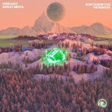 Over Easy, Ashley Mehta, & Gabe Ceribelli — Don&#039;t Know You (Gabe Ceribelli Remix) cover artwork