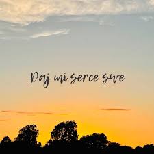 anMari — Daj mi serce swe cover artwork