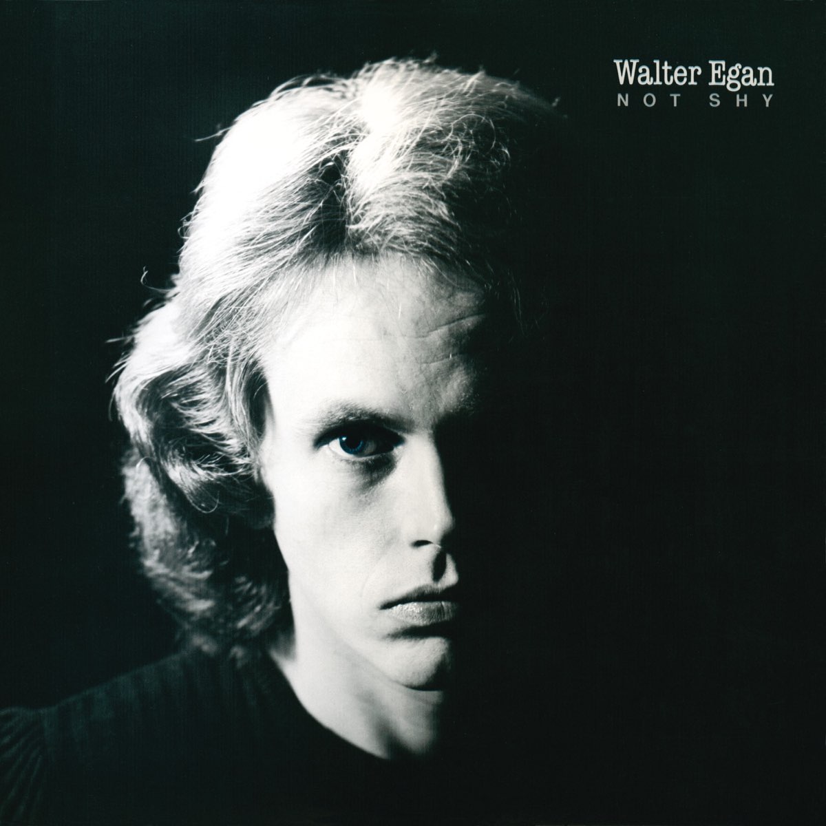 Walter Egan Not Shy cover artwork