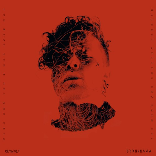 Crywolf — D D D N N N A A A [the most fun a boy can have without ripping his skin off] cover artwork
