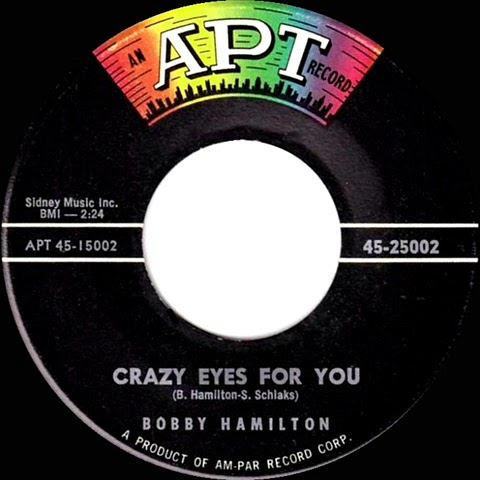 Bobby Hamilton — Crazy Eyes For You cover artwork