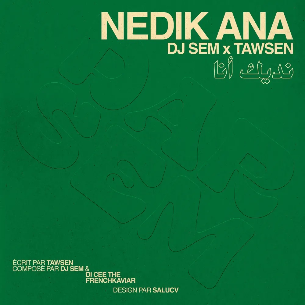 DJ Sem & Tawsen — Nedik Ana cover artwork