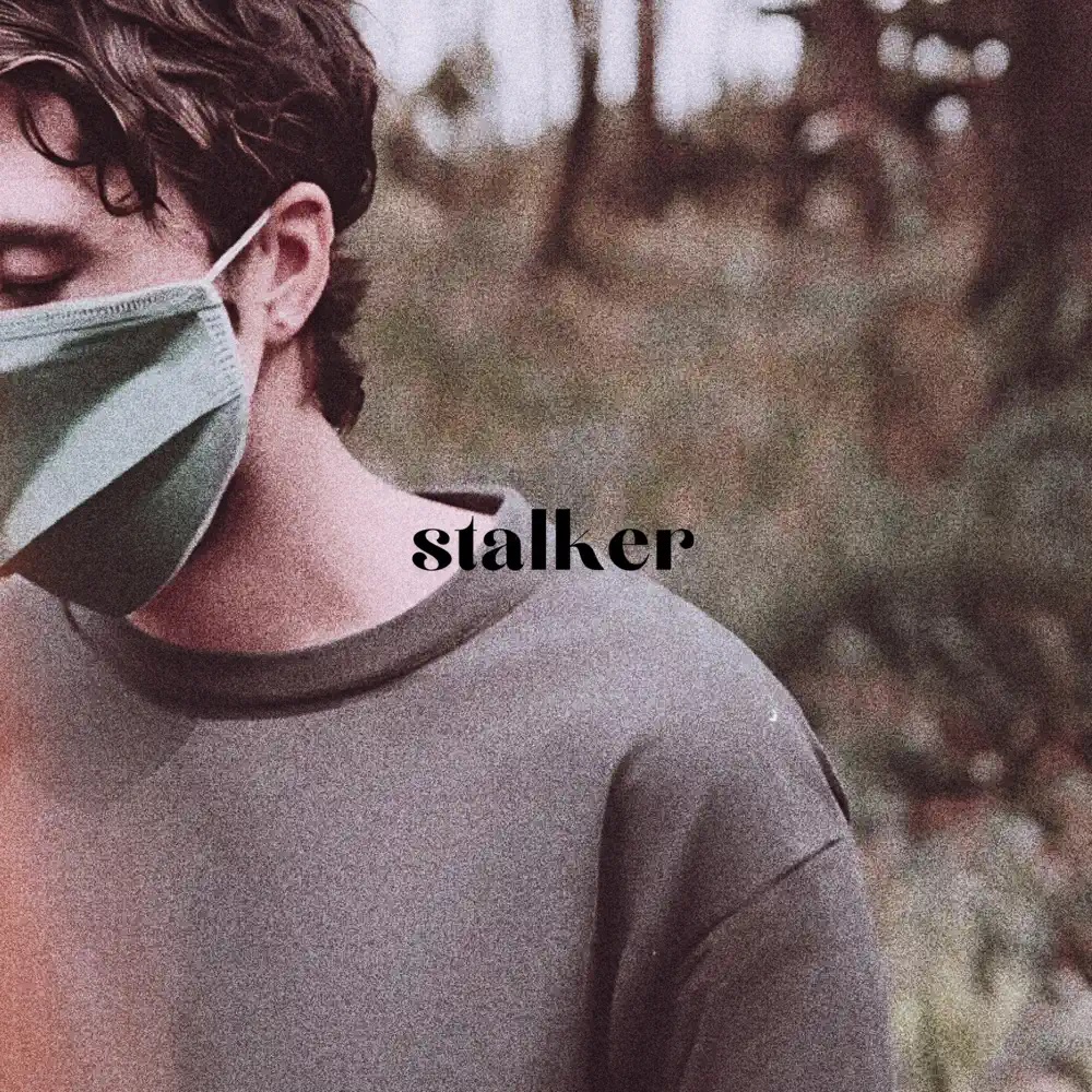heartaake — stalker cover artwork