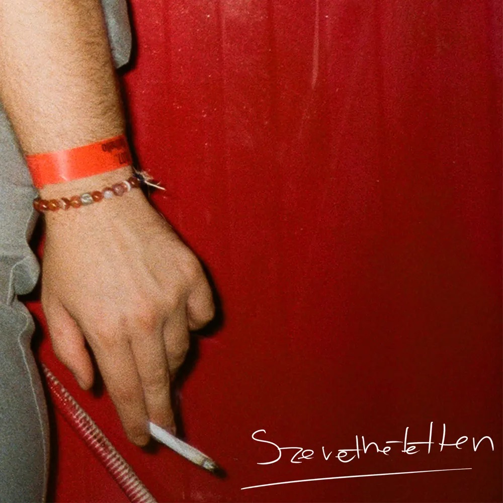 Heavy Brains — Szerethetetlen cover artwork