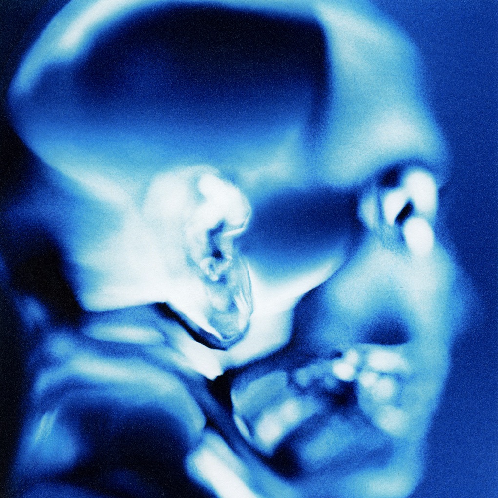 Ark Patrol — Say cover artwork